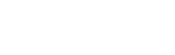 NI-HI INDIA